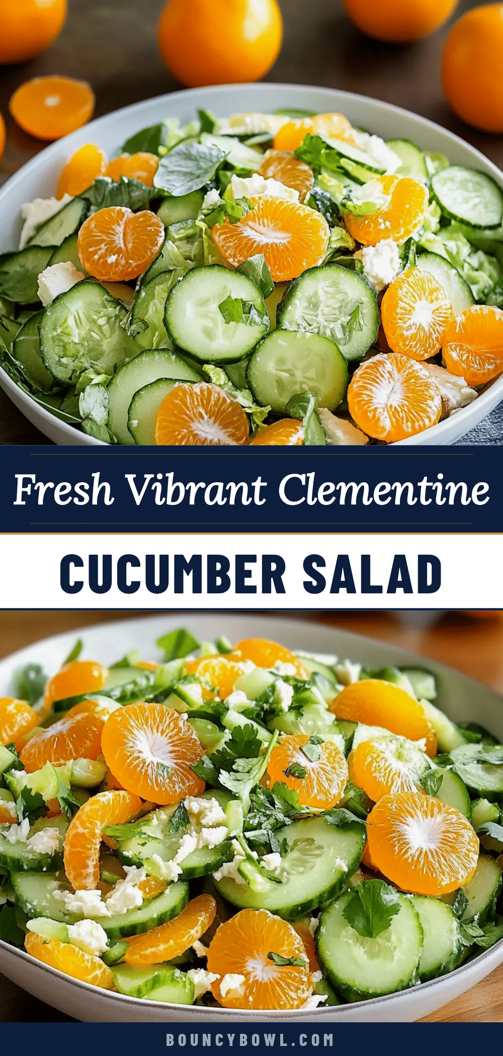 fresh clementine cucumber salad recipe