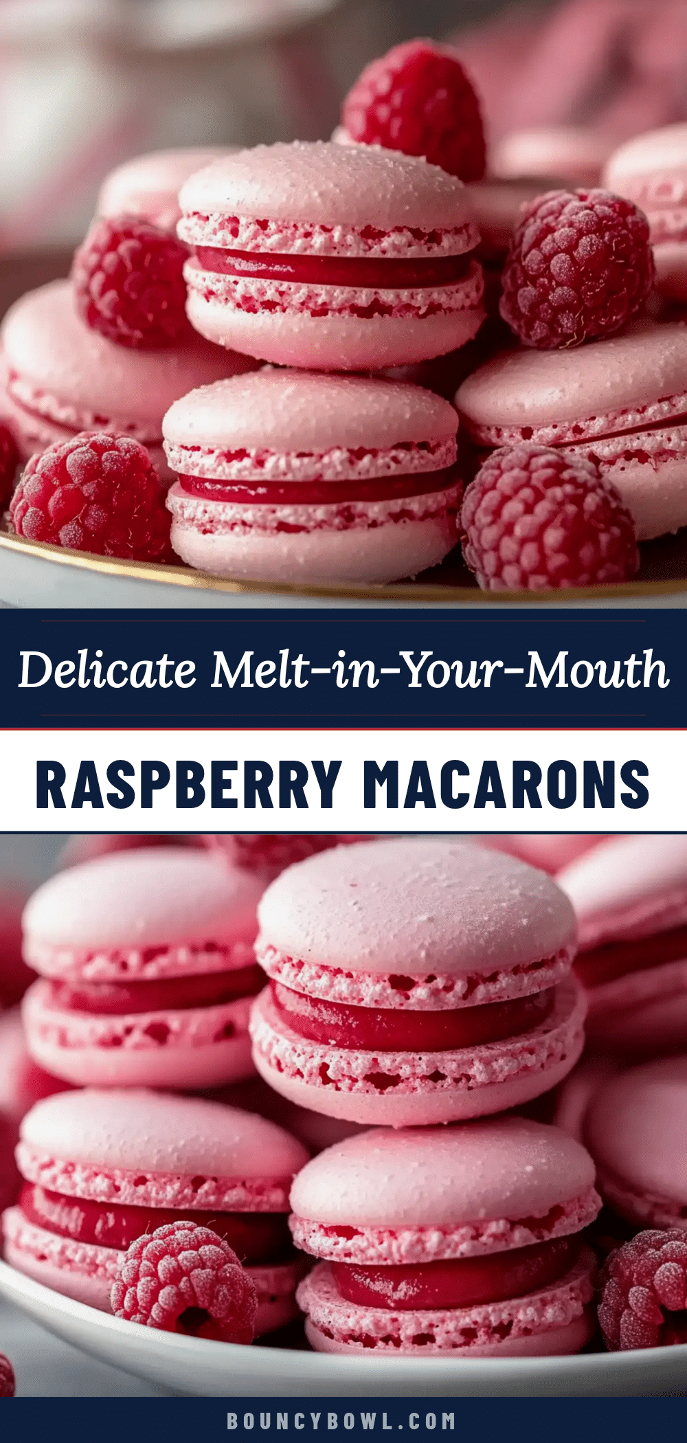 raspberry macarons recipe recipe
