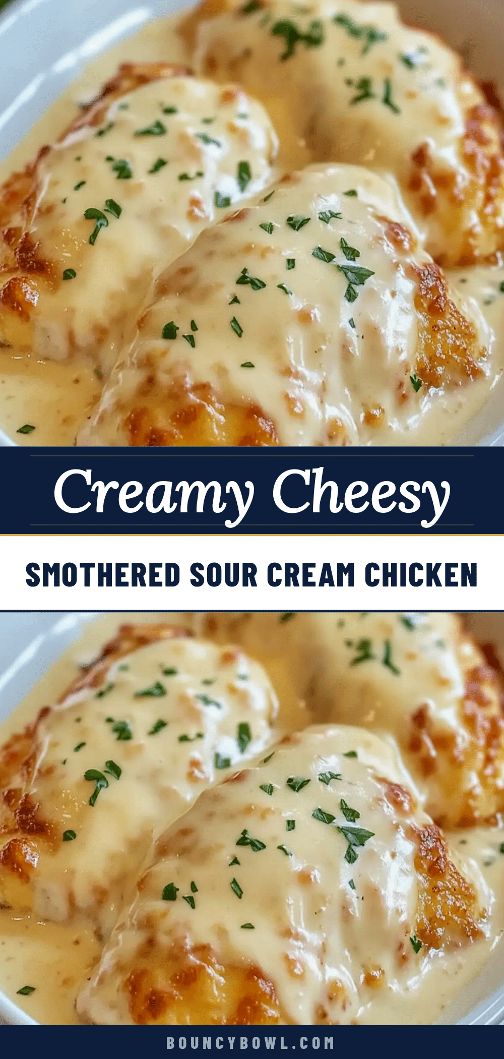 smothered cheesy sour cream chicken recipe