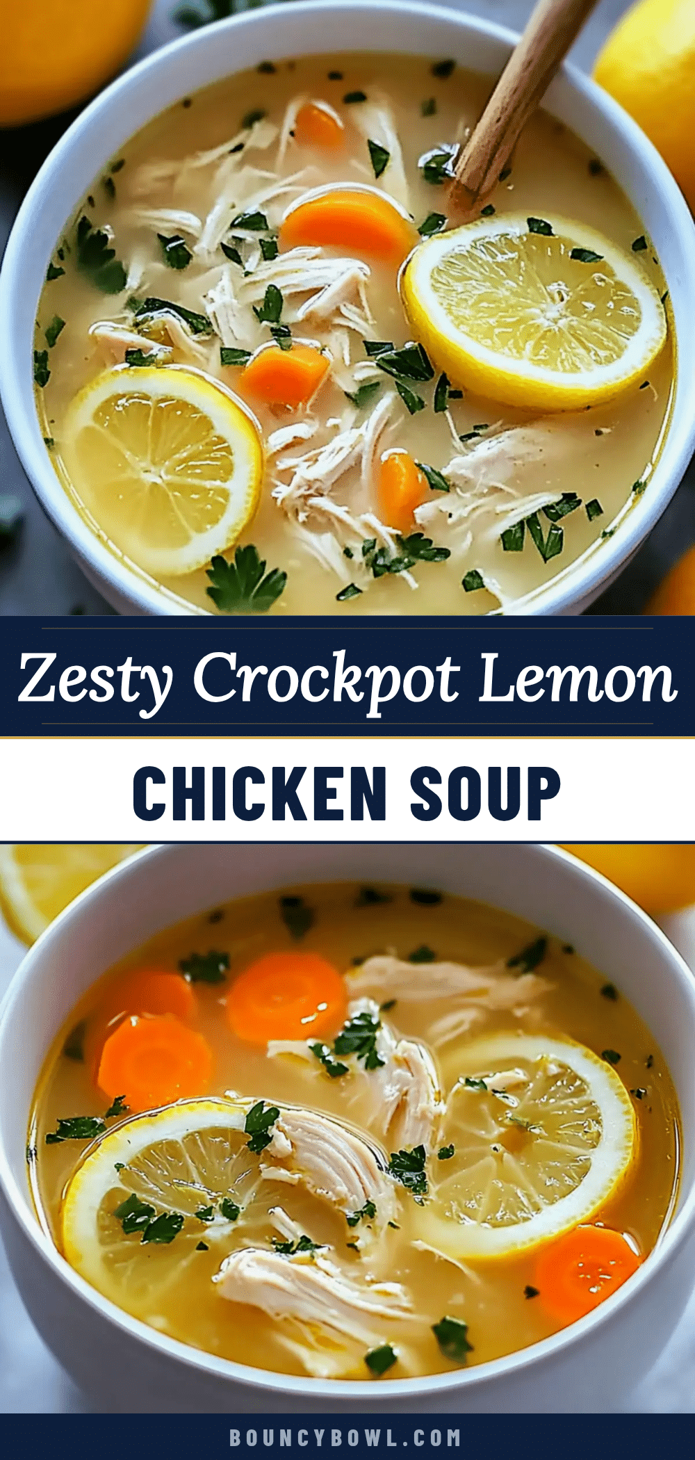 cozy crockpot lemon chicken soup recipe