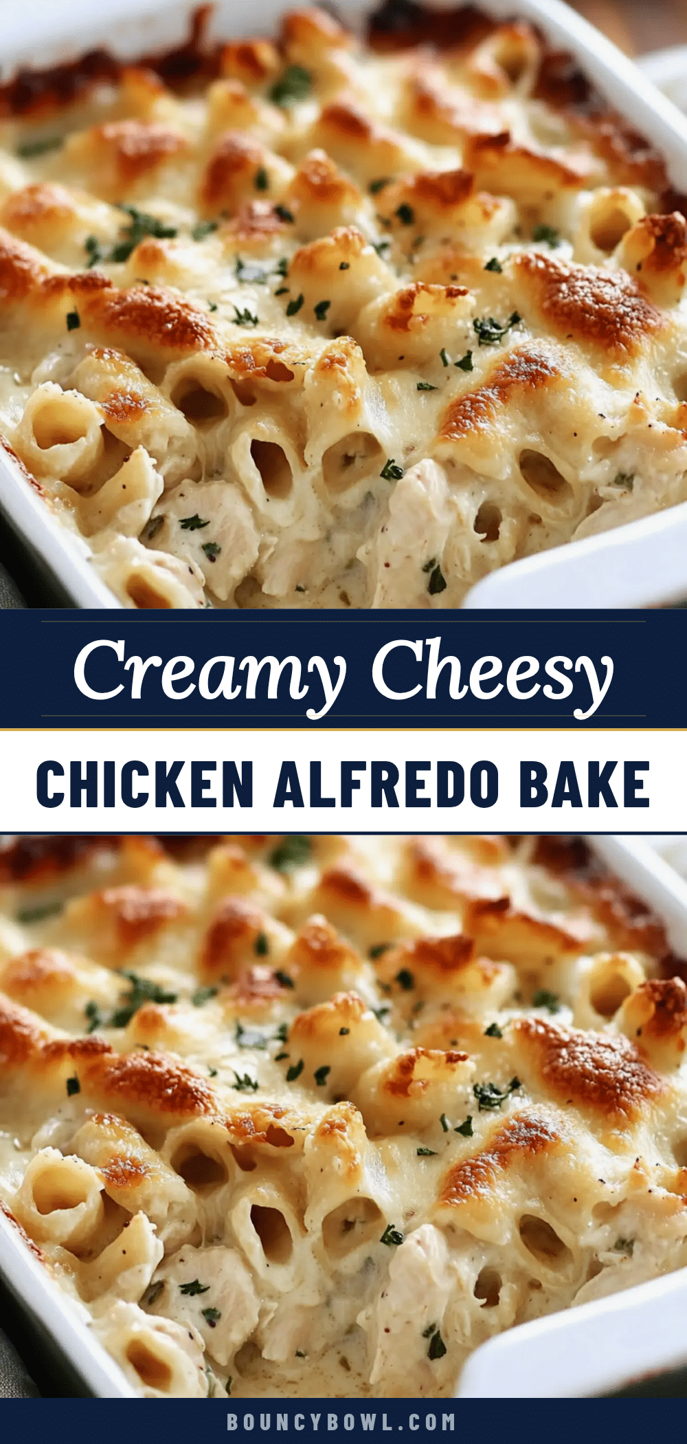 creamy chicken Alfredo bake recipe