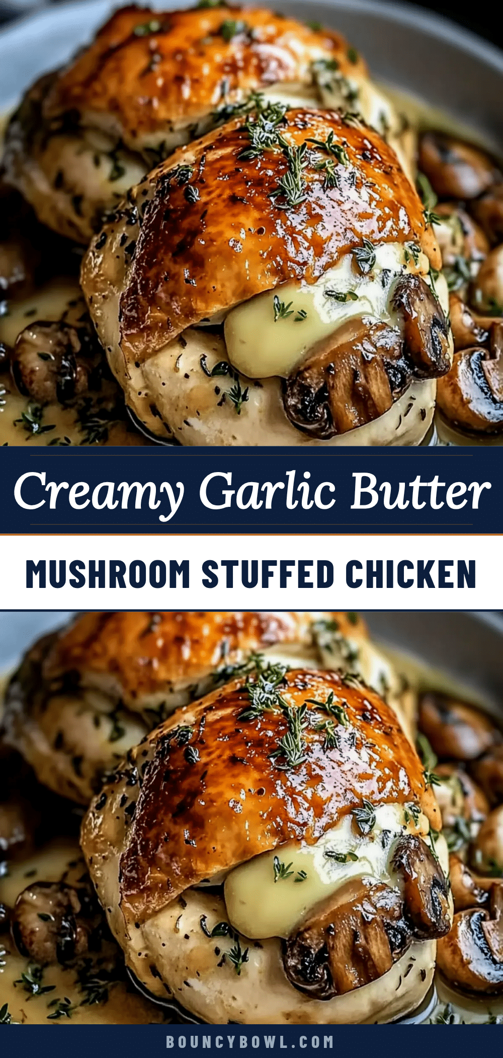 garlic butter mushroom stuffed chicken recipe