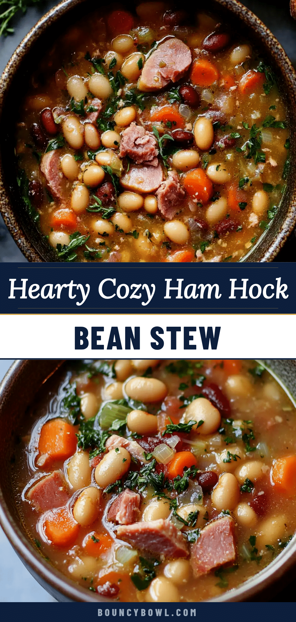 ham hock bean stew recipe