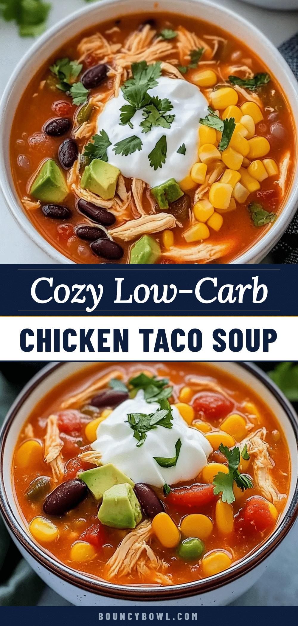 low-carb chicken taco soup recipe