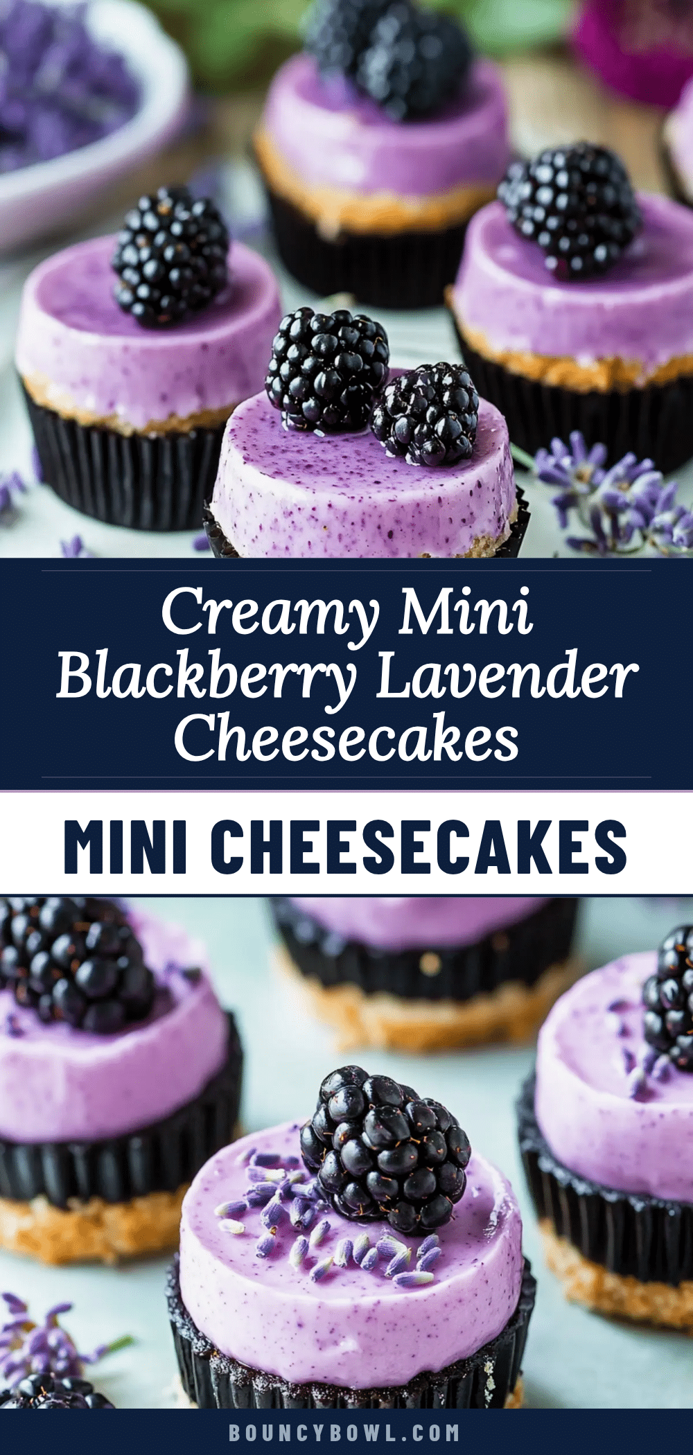 mini blackberry lavender cheesecakes recipe
