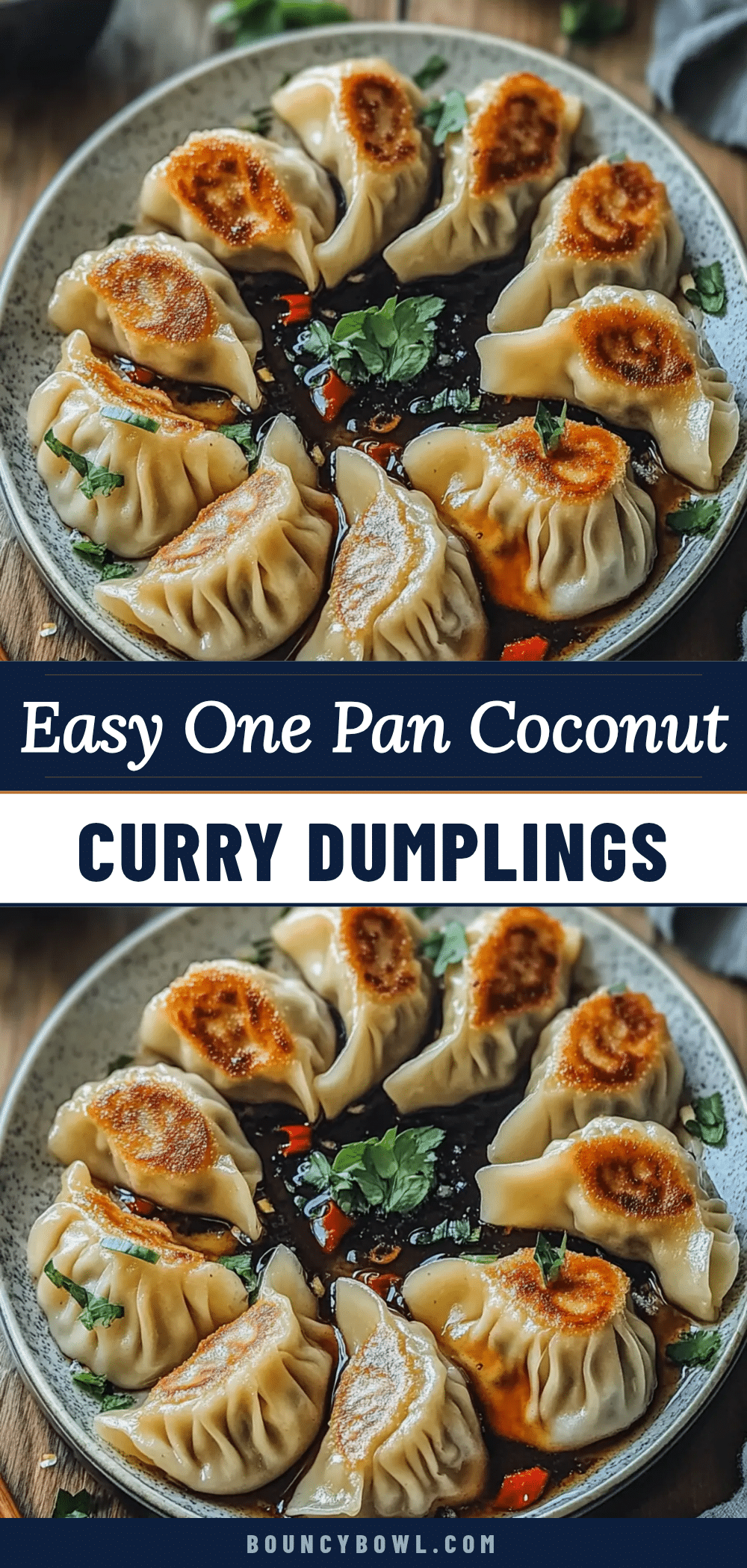 one pan dumplings in coconut curry recipe