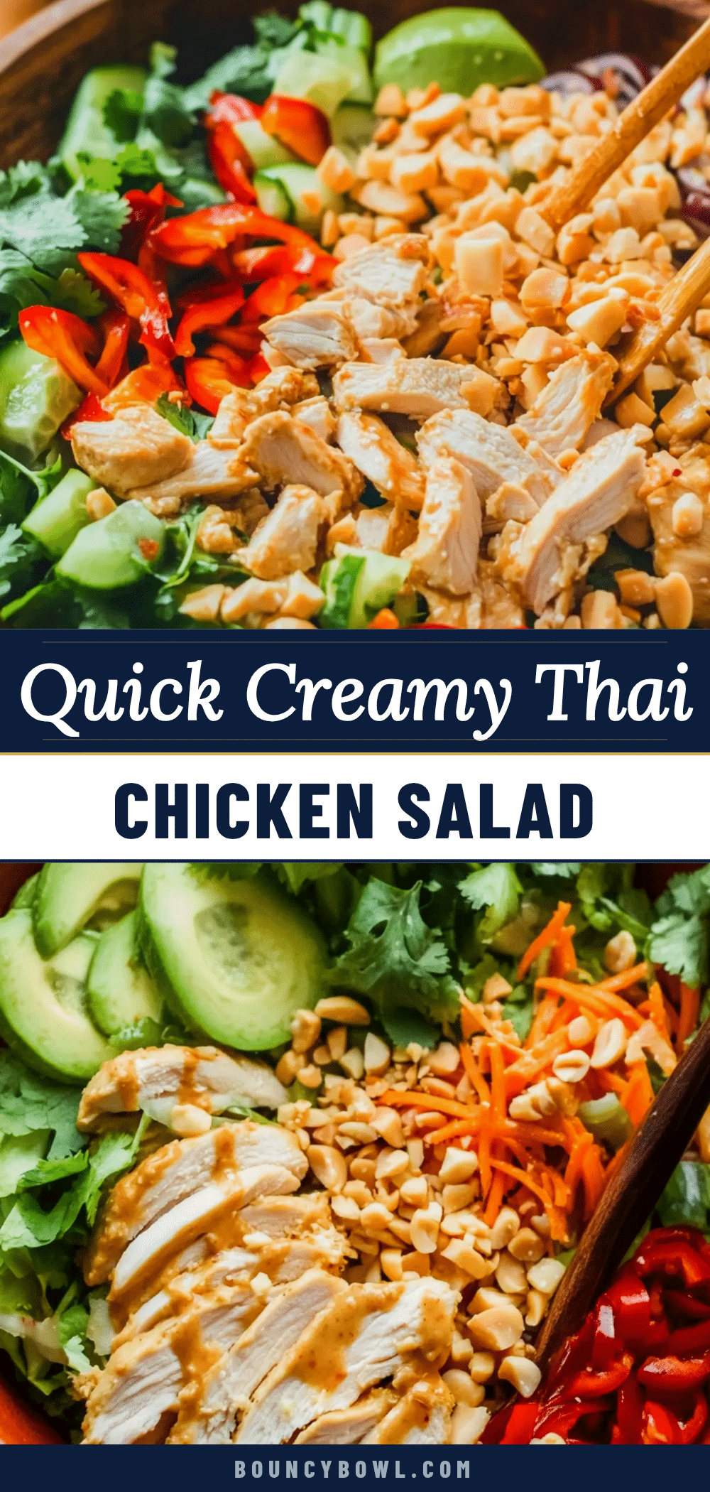 Quick Creamy Thai Chicken Salad recipe