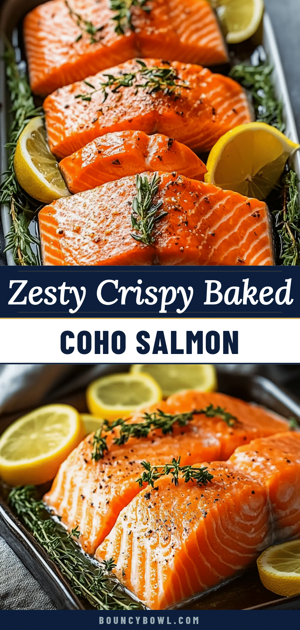 quick zesty baked coho salmon recipe