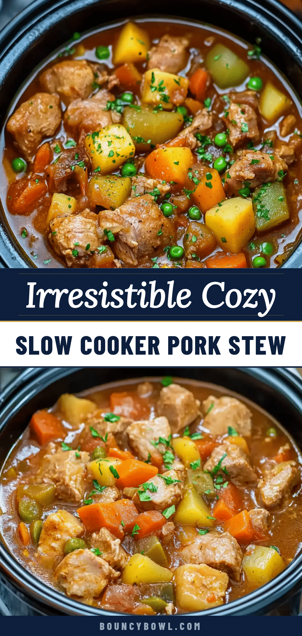 slow cooker pork stew recipe