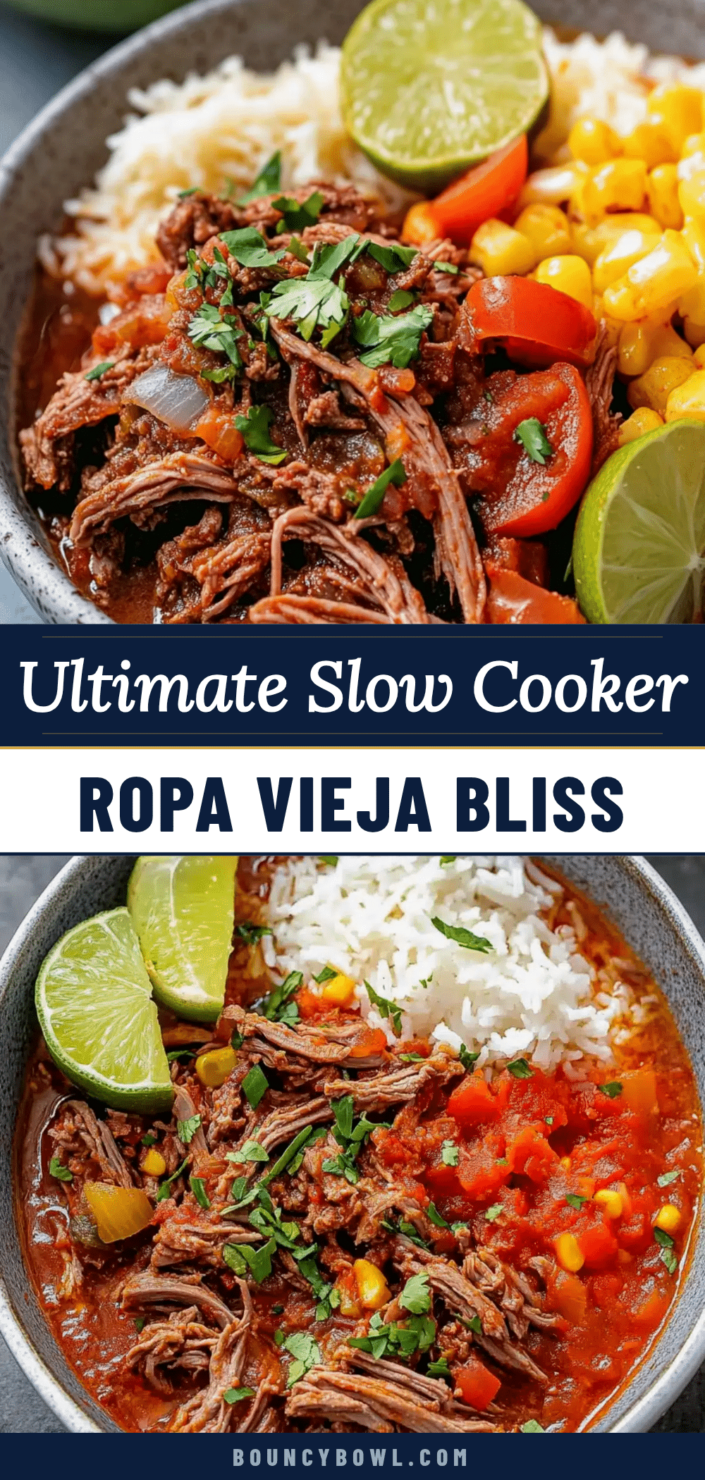 slow cooker ropa vieja recipe