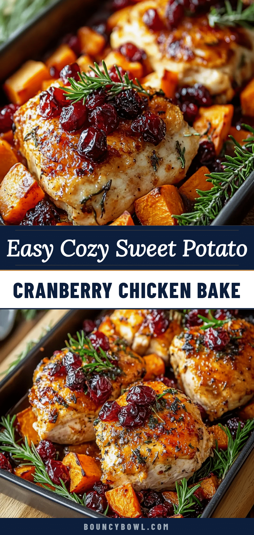sweet potato cranberry chicken bake recipe