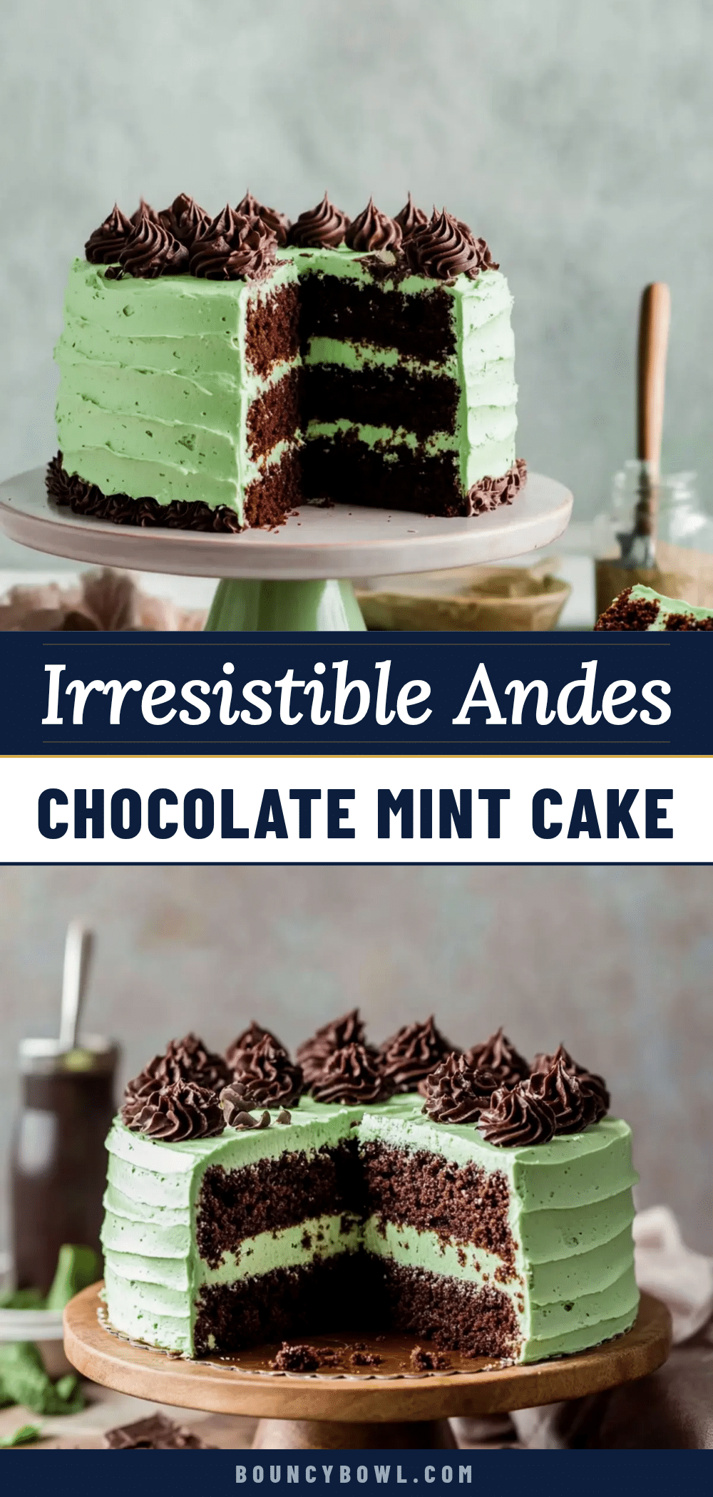 Andes Chocolate Mint Cake recipe