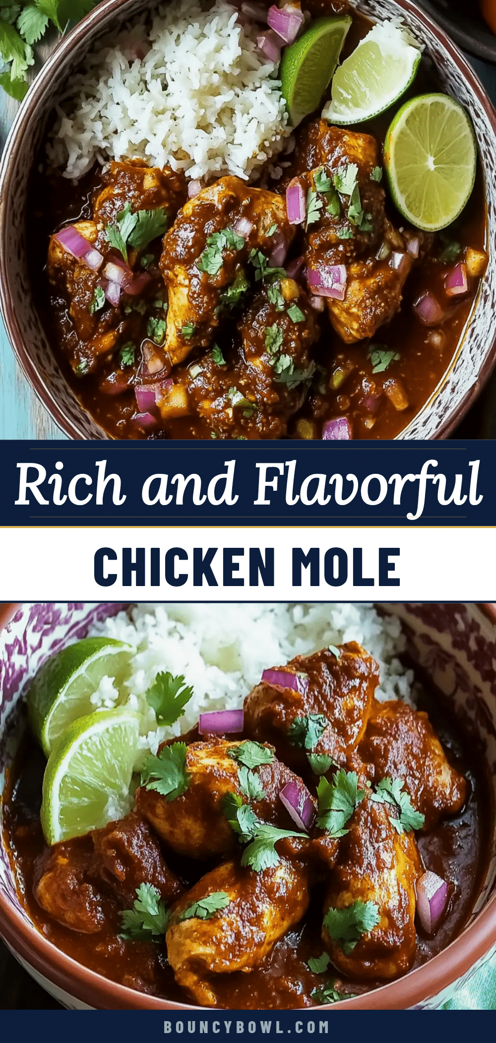 chicken mole recipe recipe