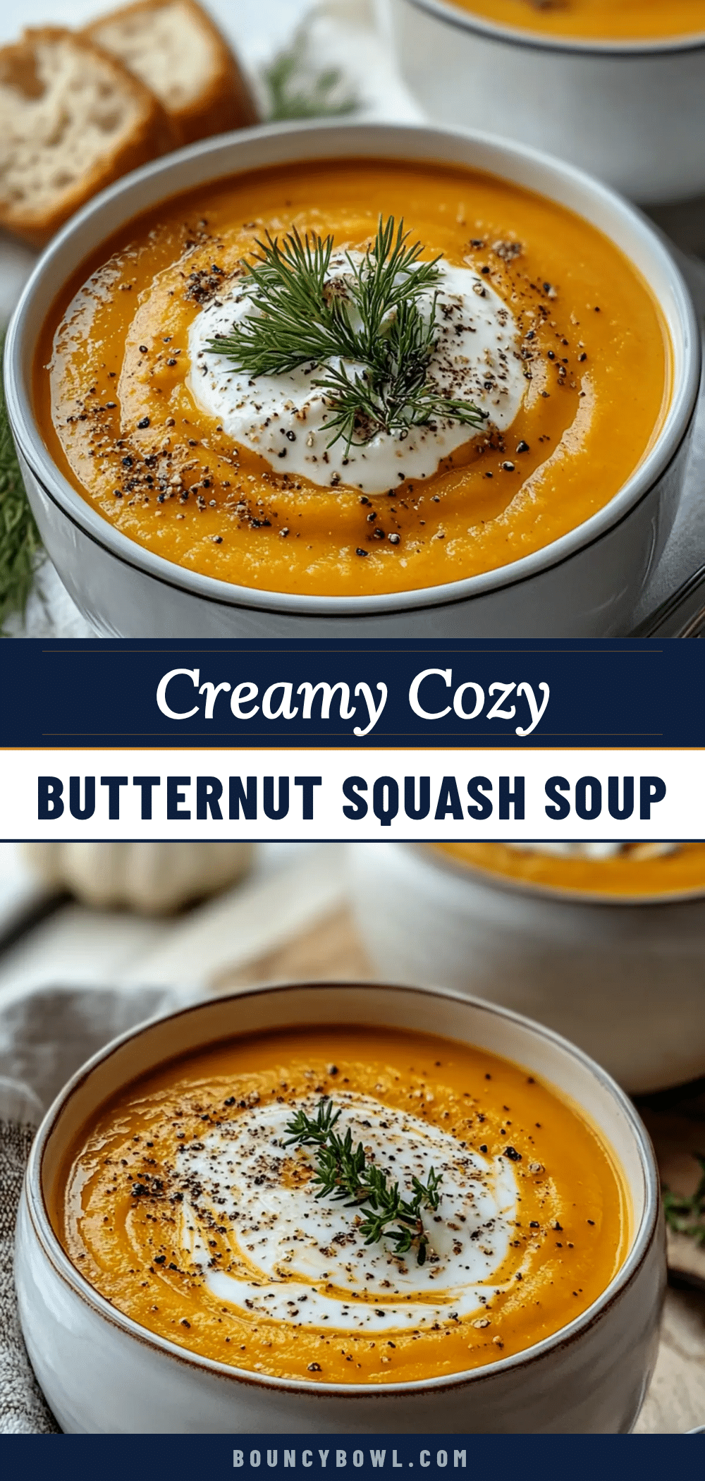 cozy butternut squash soup recipe