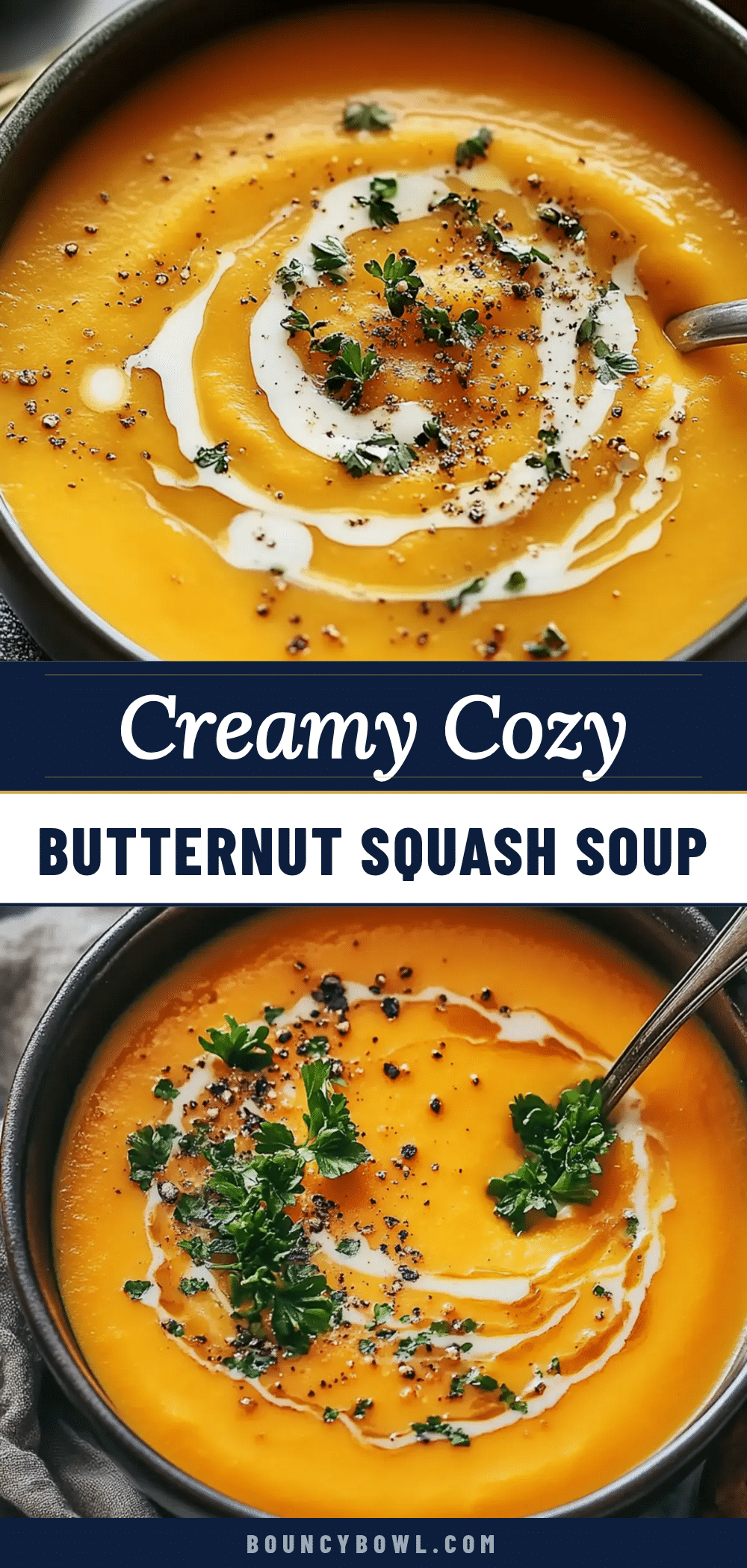 cozy creamy butternut squash soup recipe