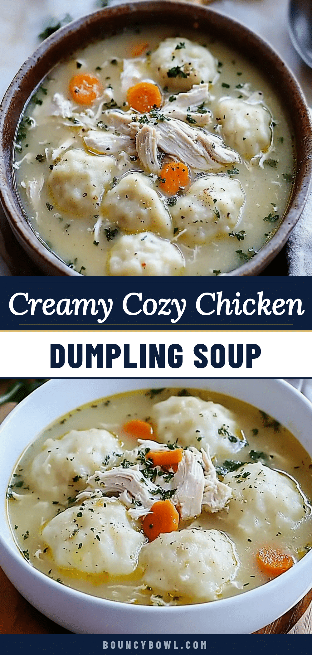cozy creamy chicken dumpling soup recipe