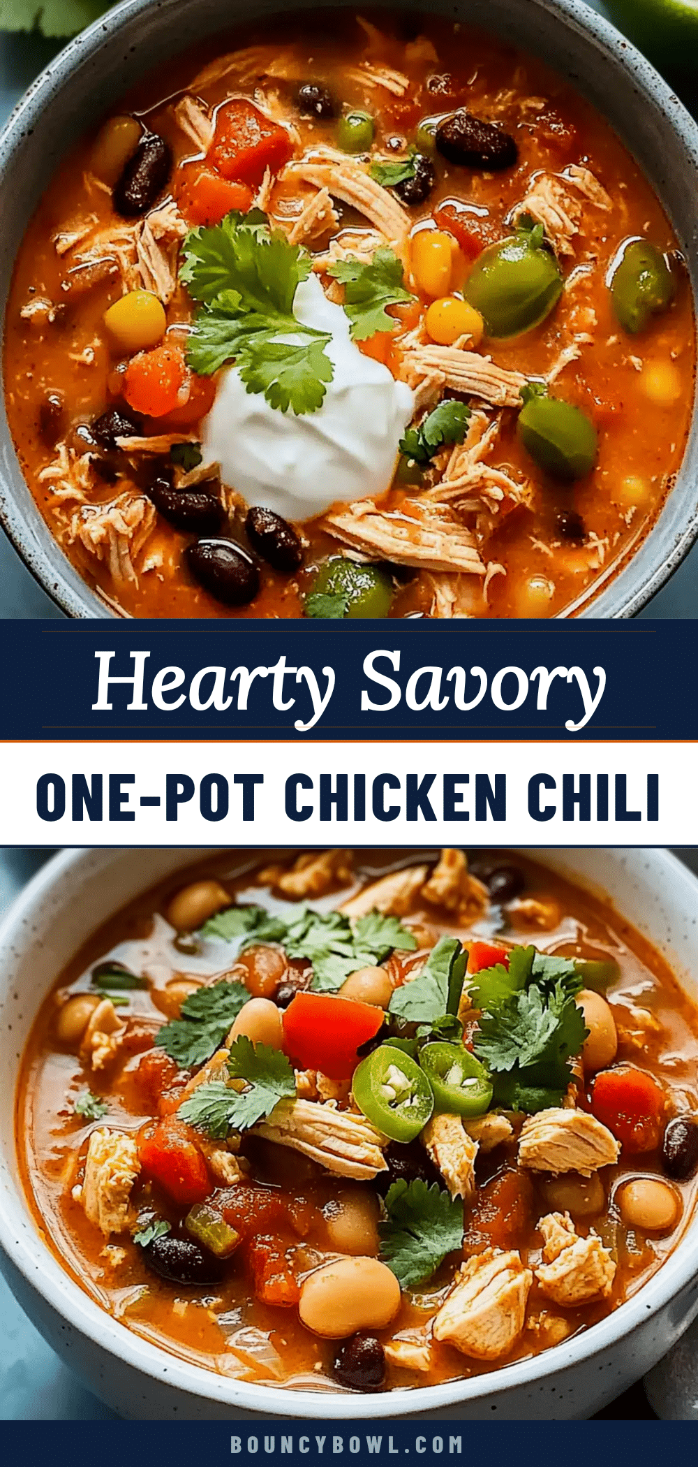cozy savory chicken chili recipe