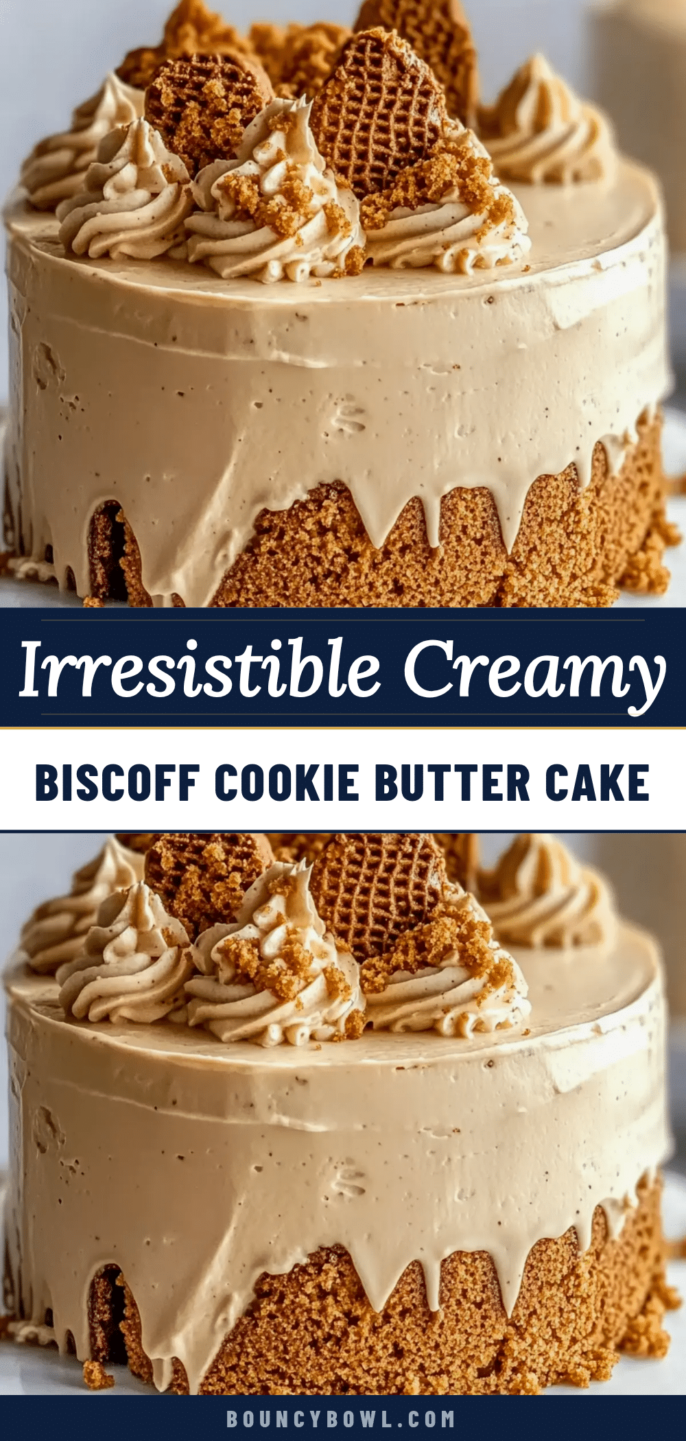 creamy biscoff cookie butter cake recipe