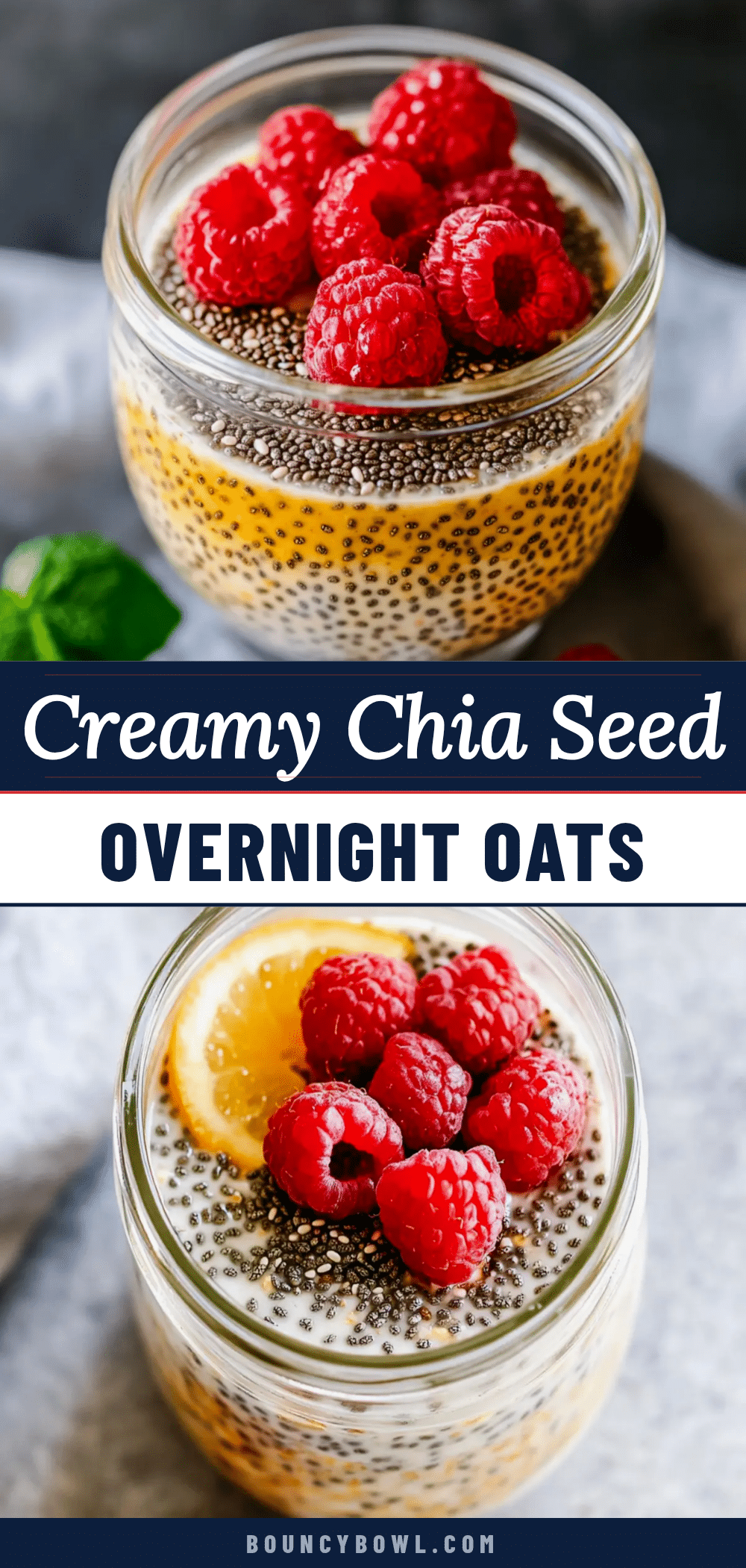 creamy chia seed overnight oats recipe