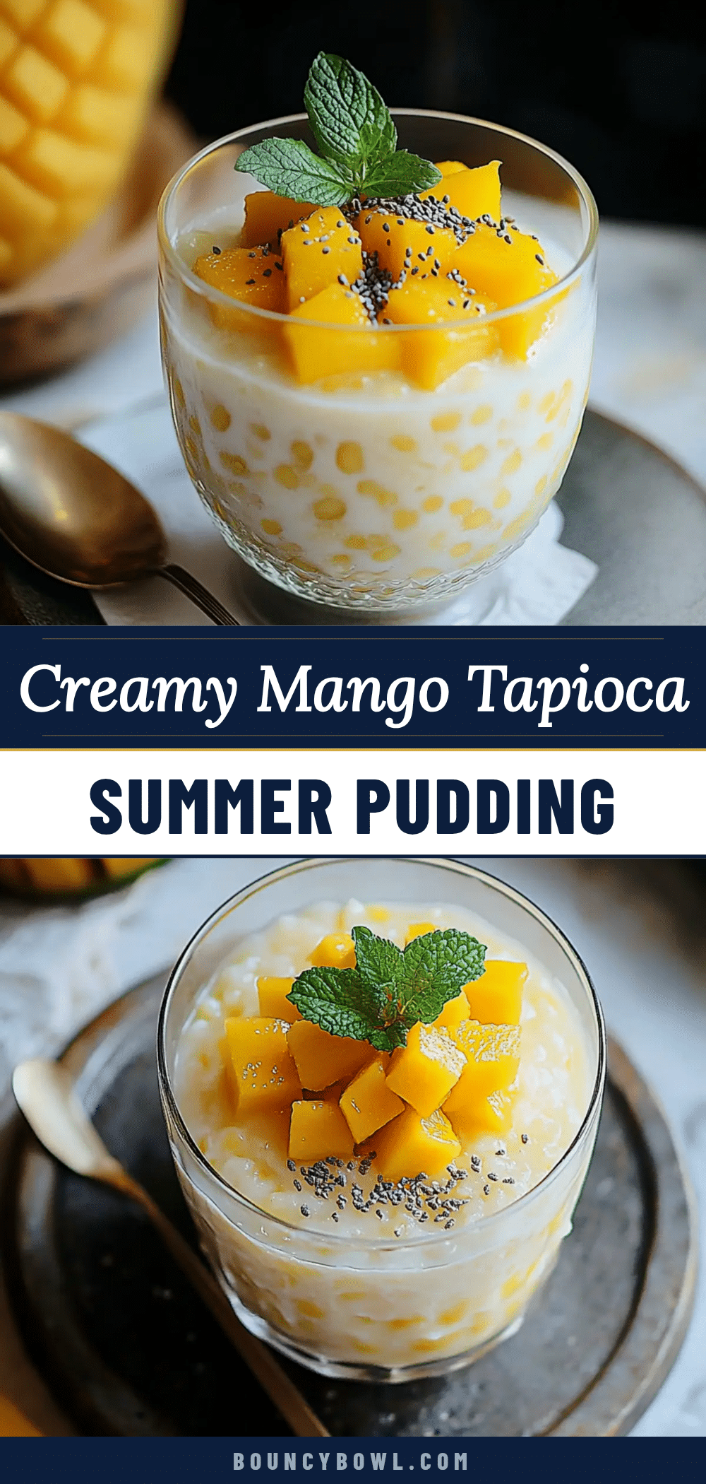 creamy mango tapioca pudding recipe