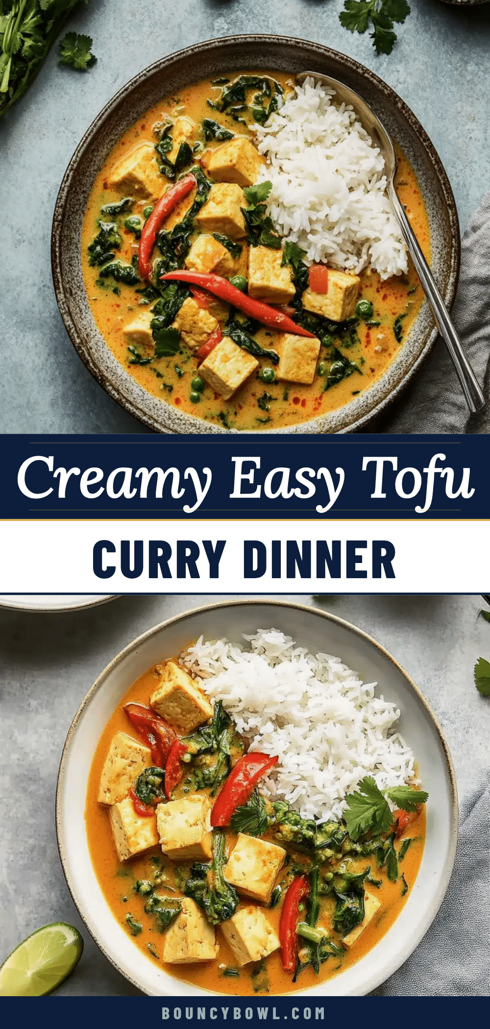 easy creamy tofu curry recipe