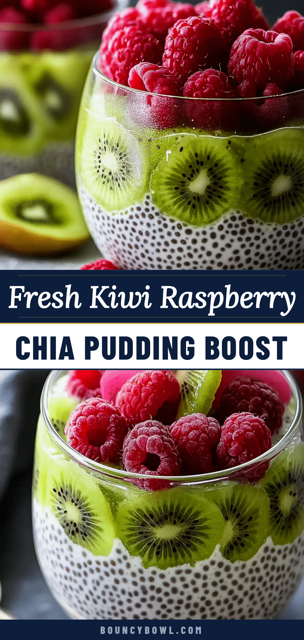 fresh kiwi and raspberry chia pudding recipe