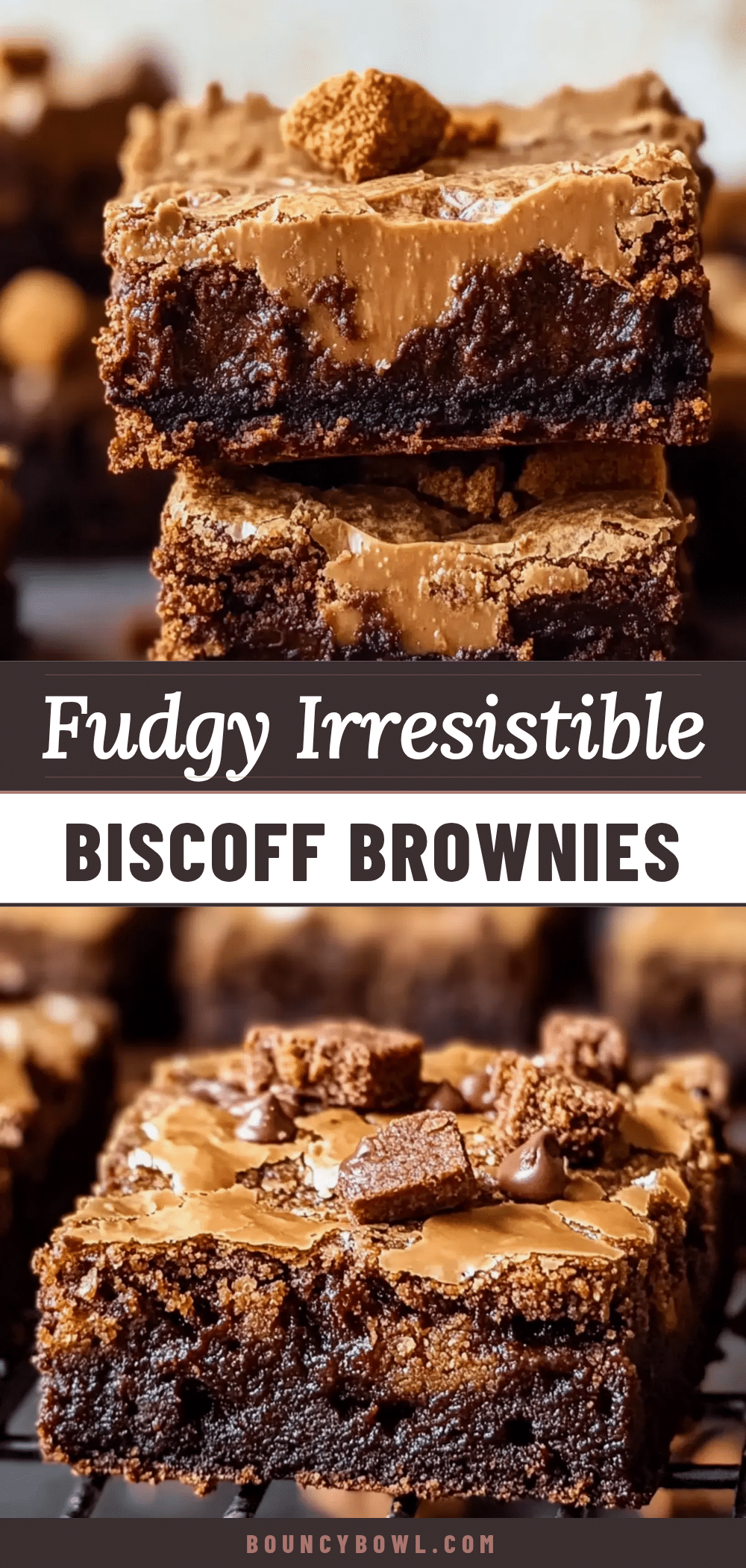 fudgy biscoff brownies recipe