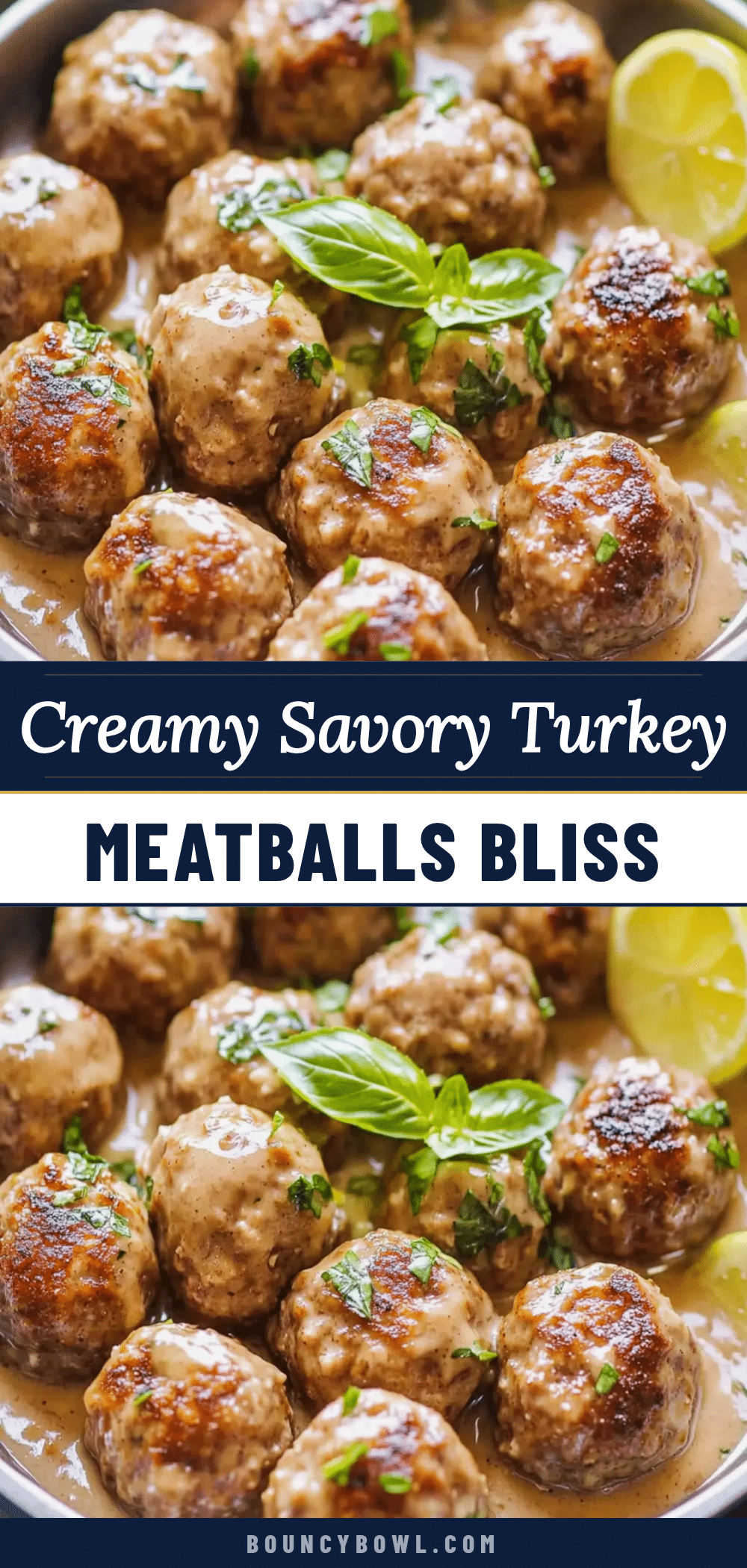 savory turkey meatballs recipe