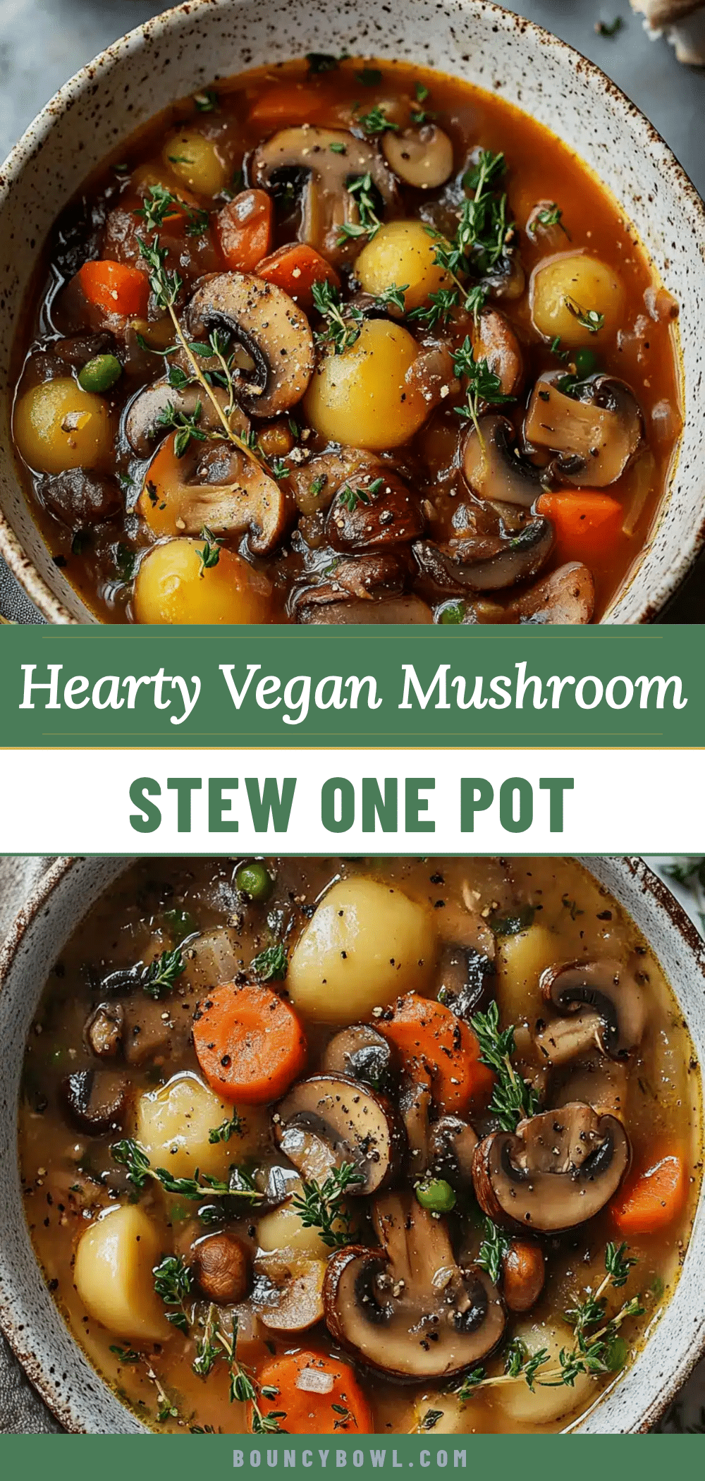 vegan mushroom stew recipe