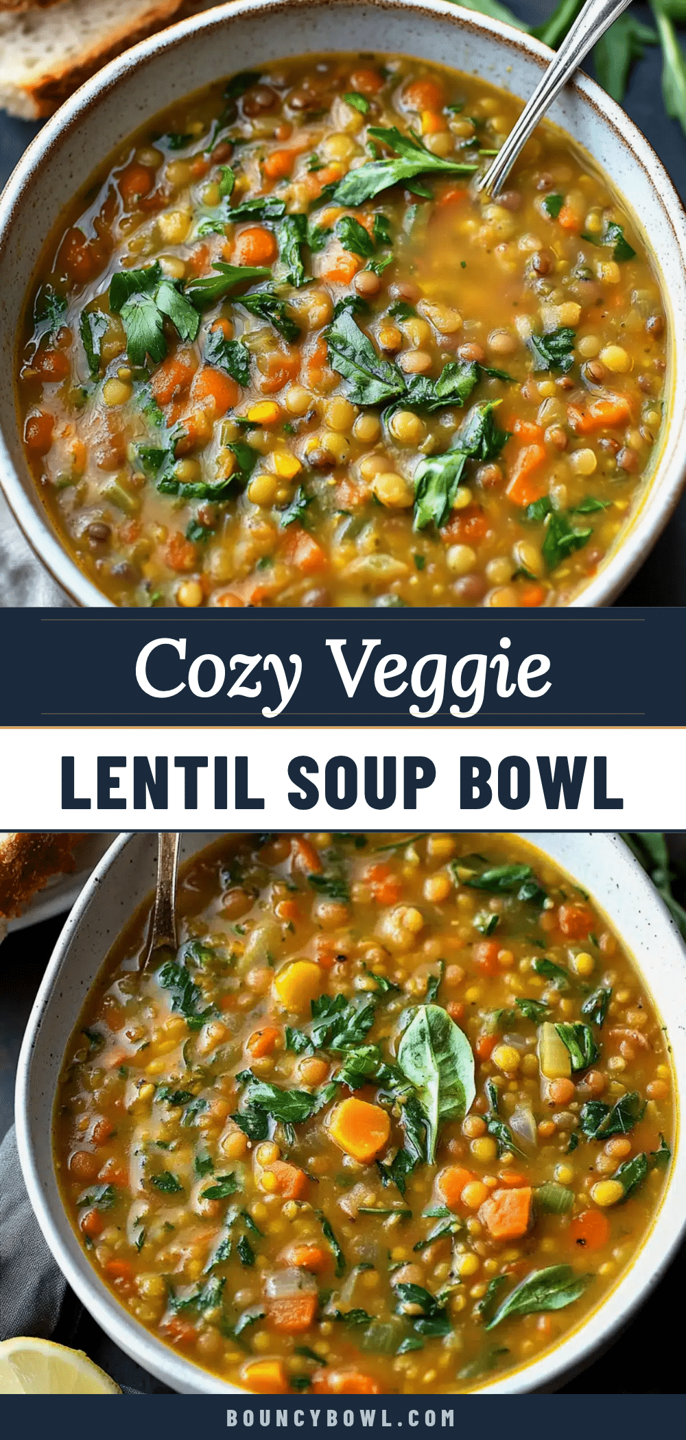 cozy veggie lentil soup recipe
