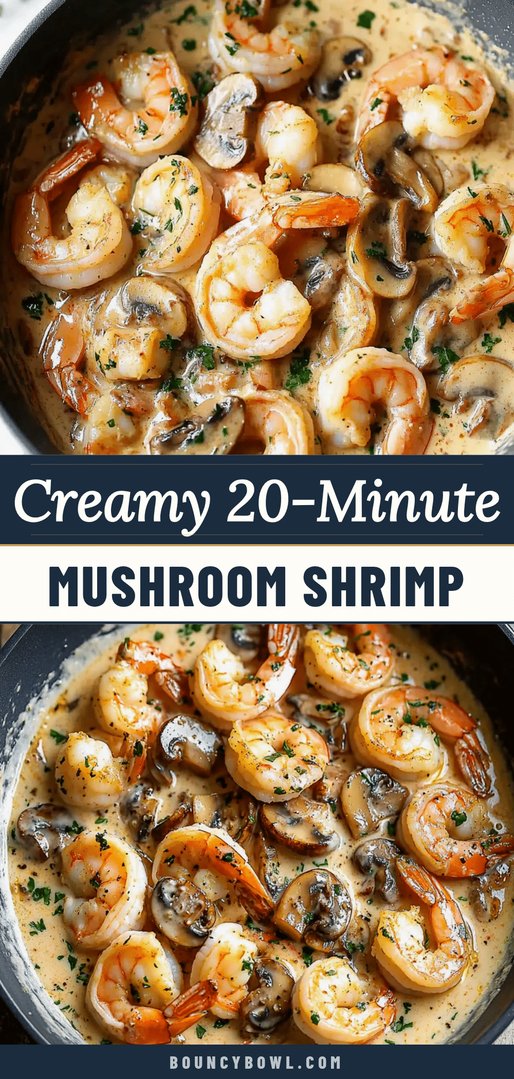 creamy mushroom shrimp dinner recipe