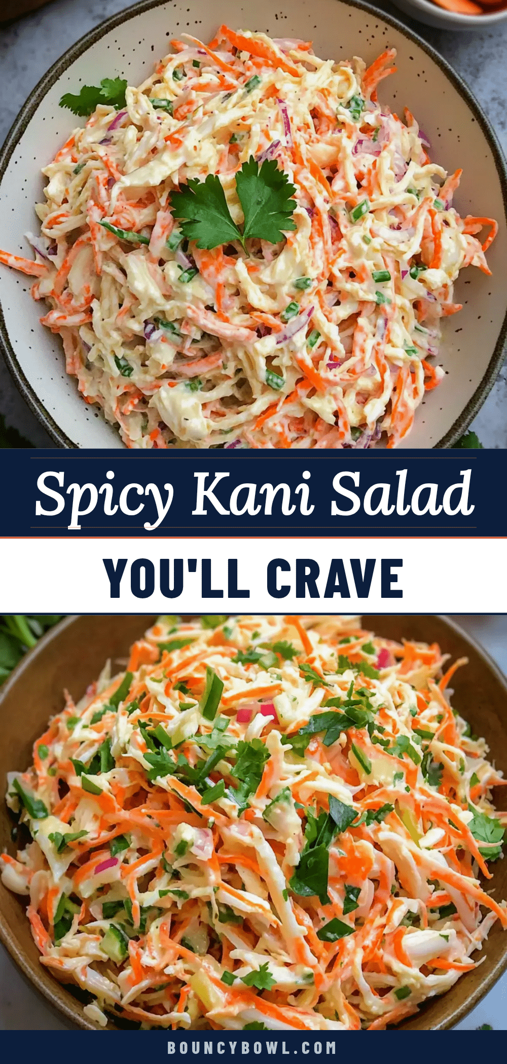 spicy kani salad recipe