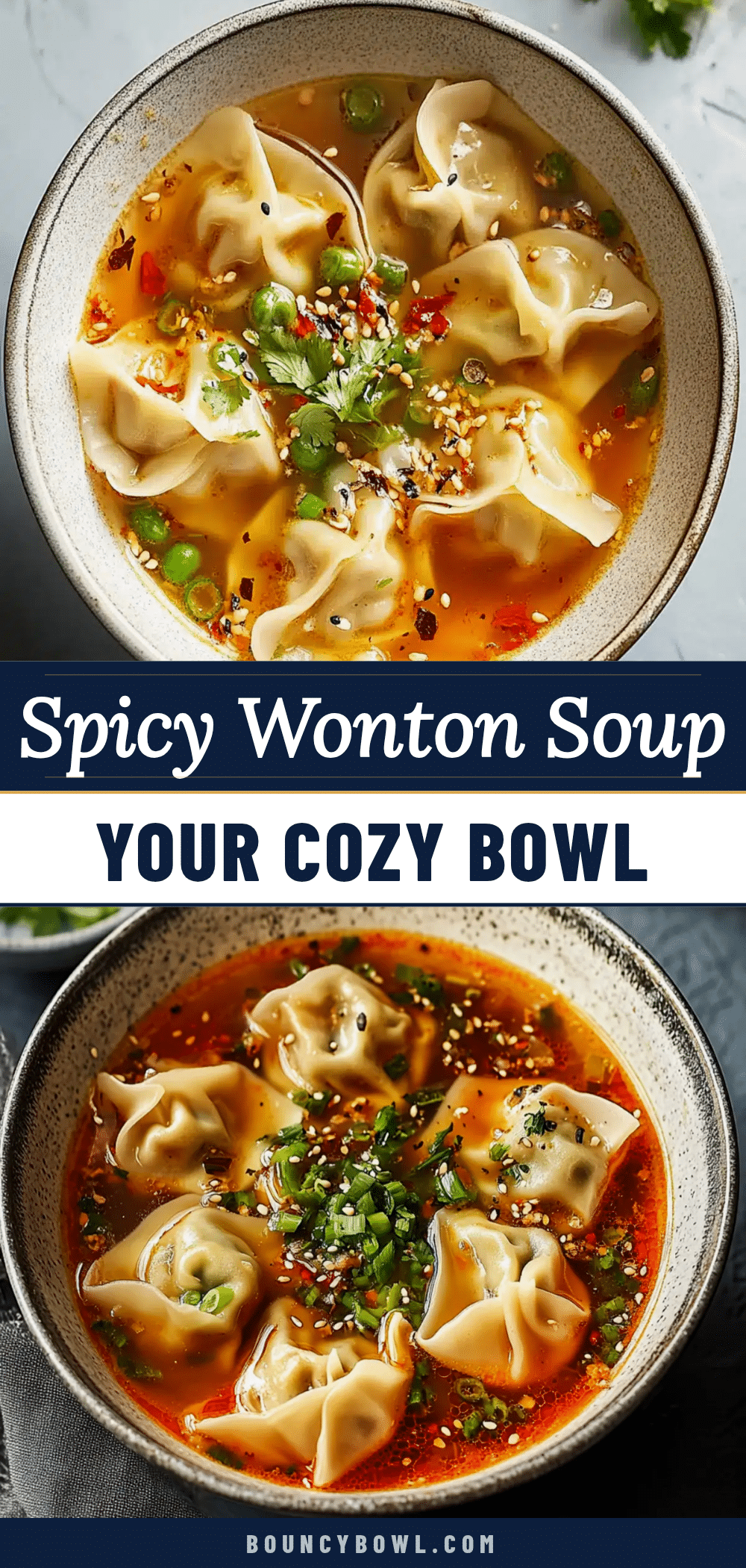 spicy wonton soup recipe