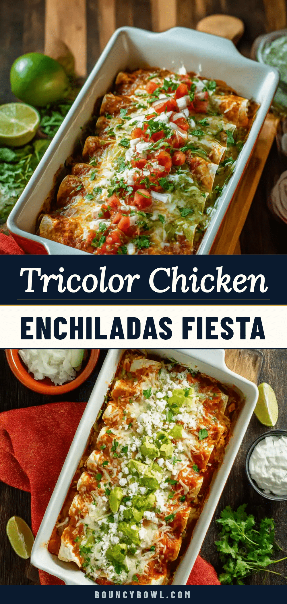 chicken enchiladas tricolor recipe