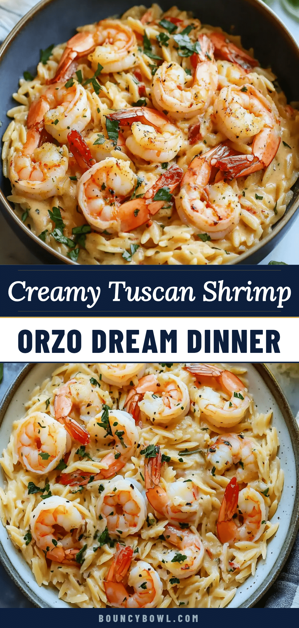 creamy tuscan shrimp orzo recipe