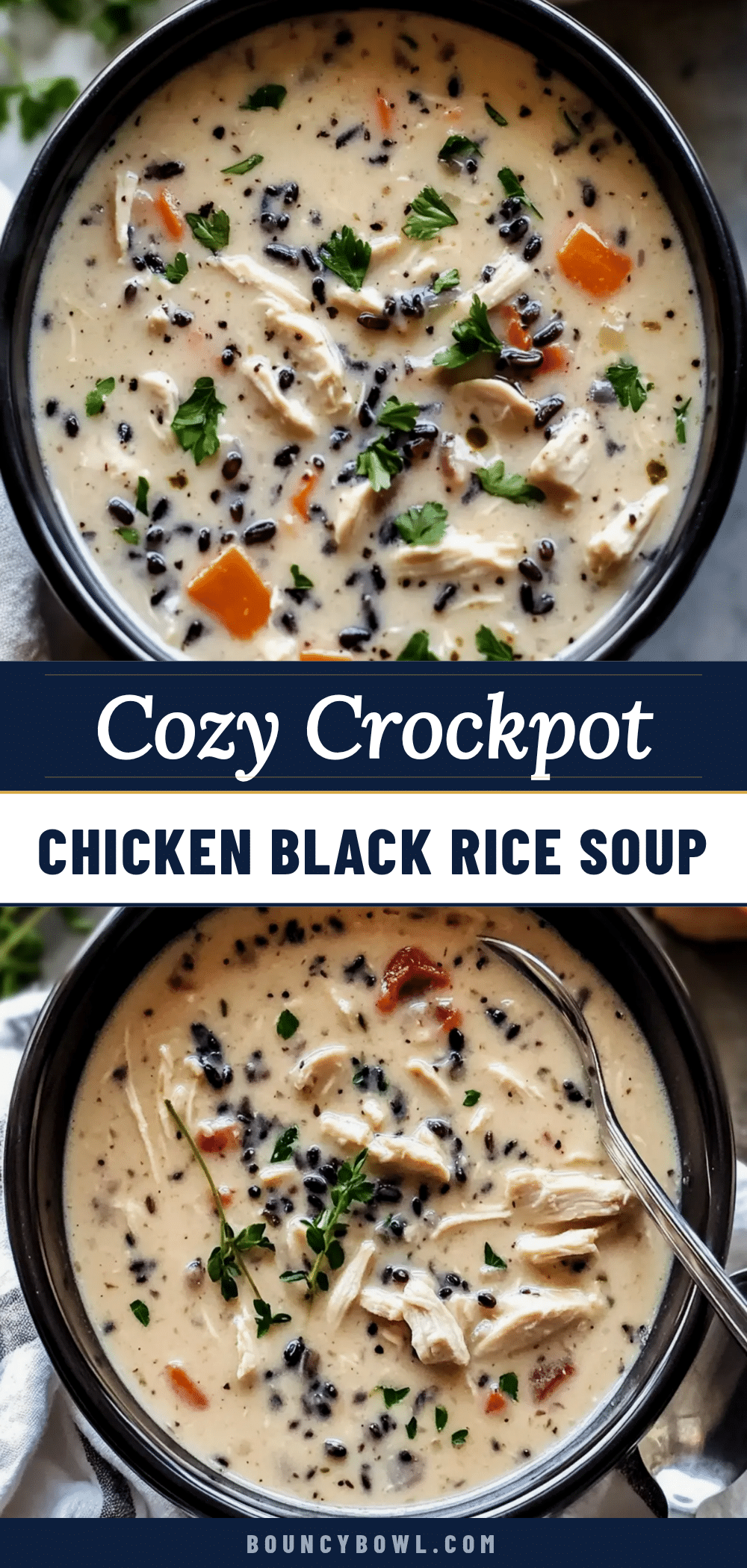 crockpot chicken black rice soup recipe