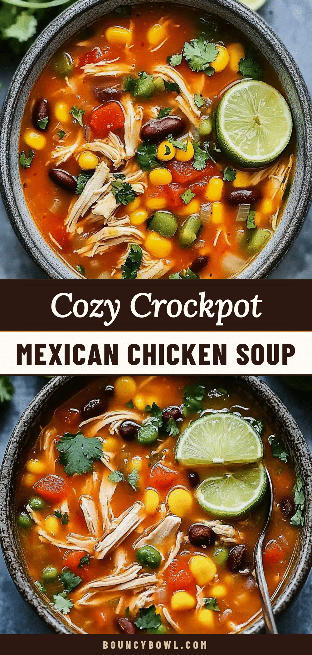 crockpot mexican chicken soup recipe