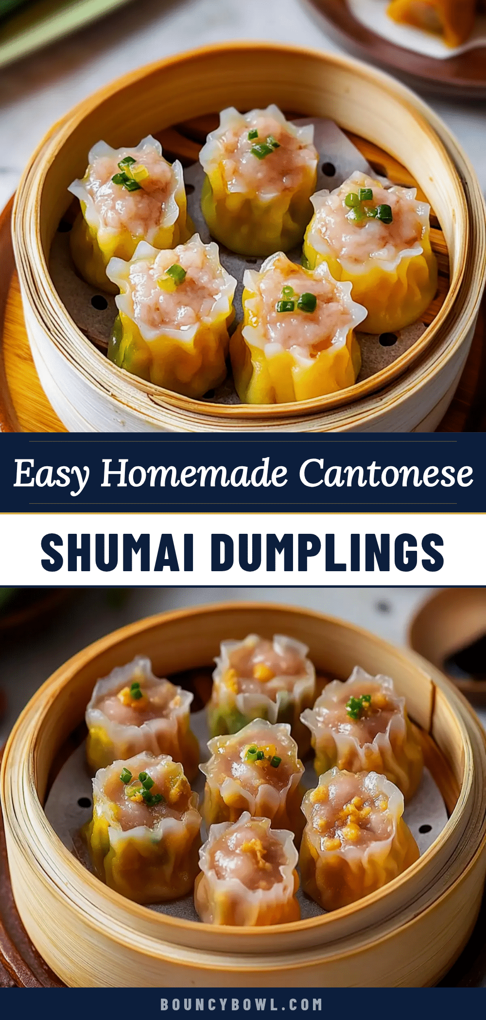 homemade shumai recipe recipe
