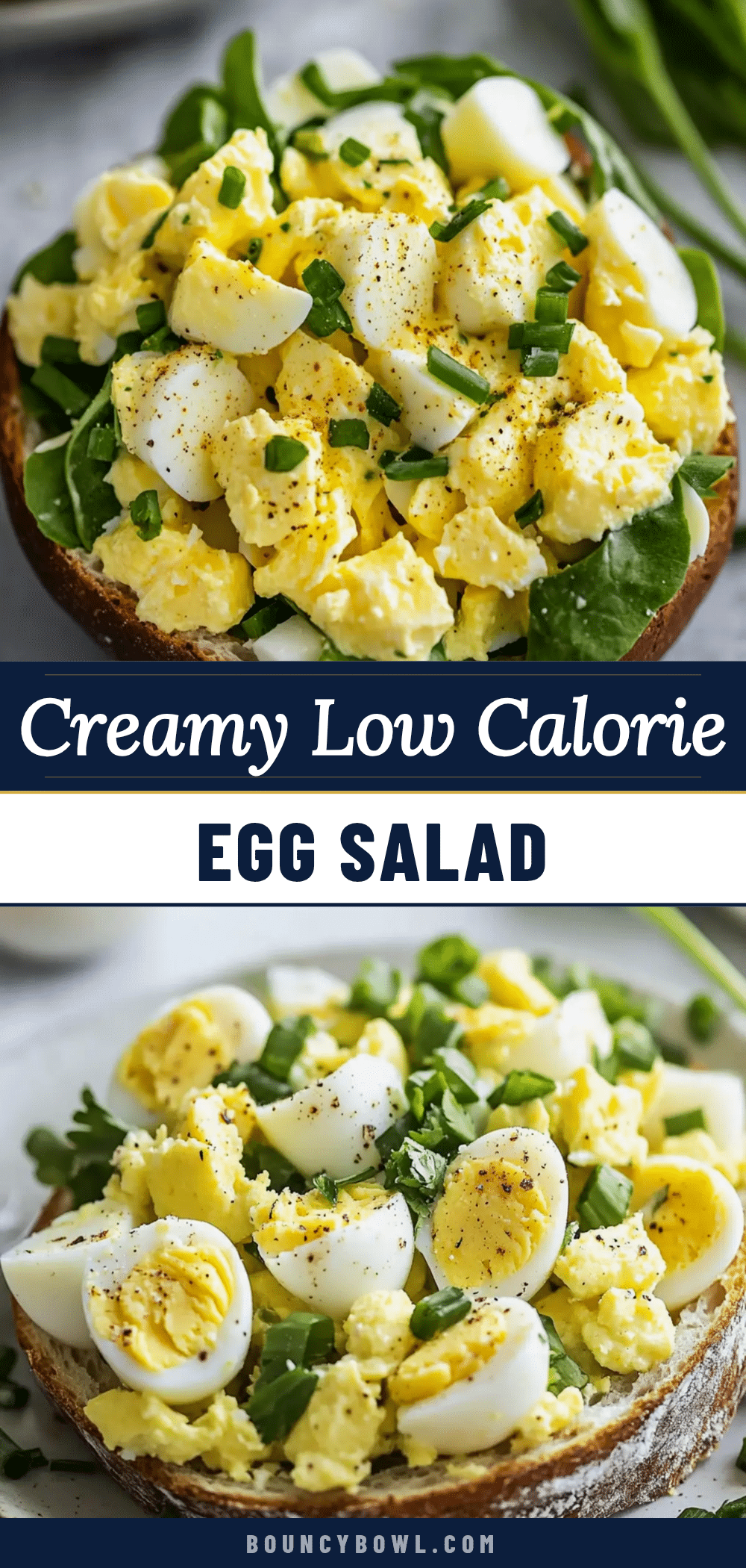 low calorie egg salad recipe